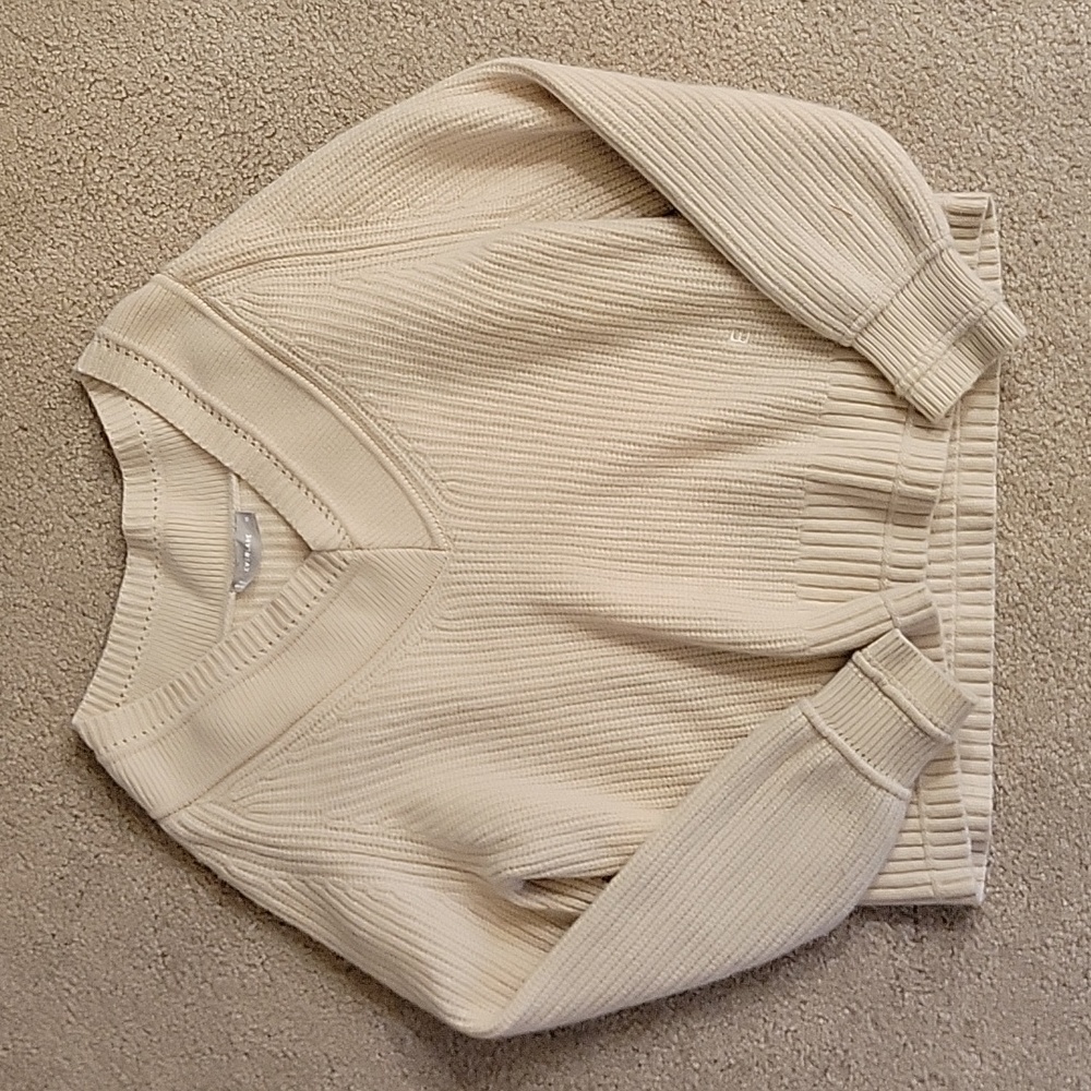 Everlane Sweater